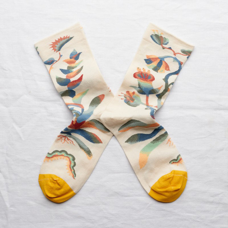 Sock Plant Natural