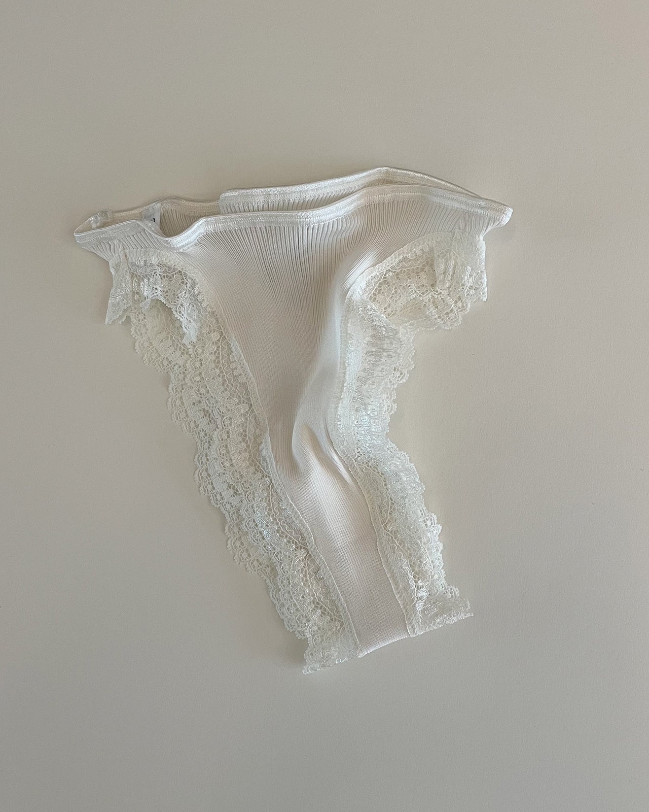 Lace Silk Rib Brief