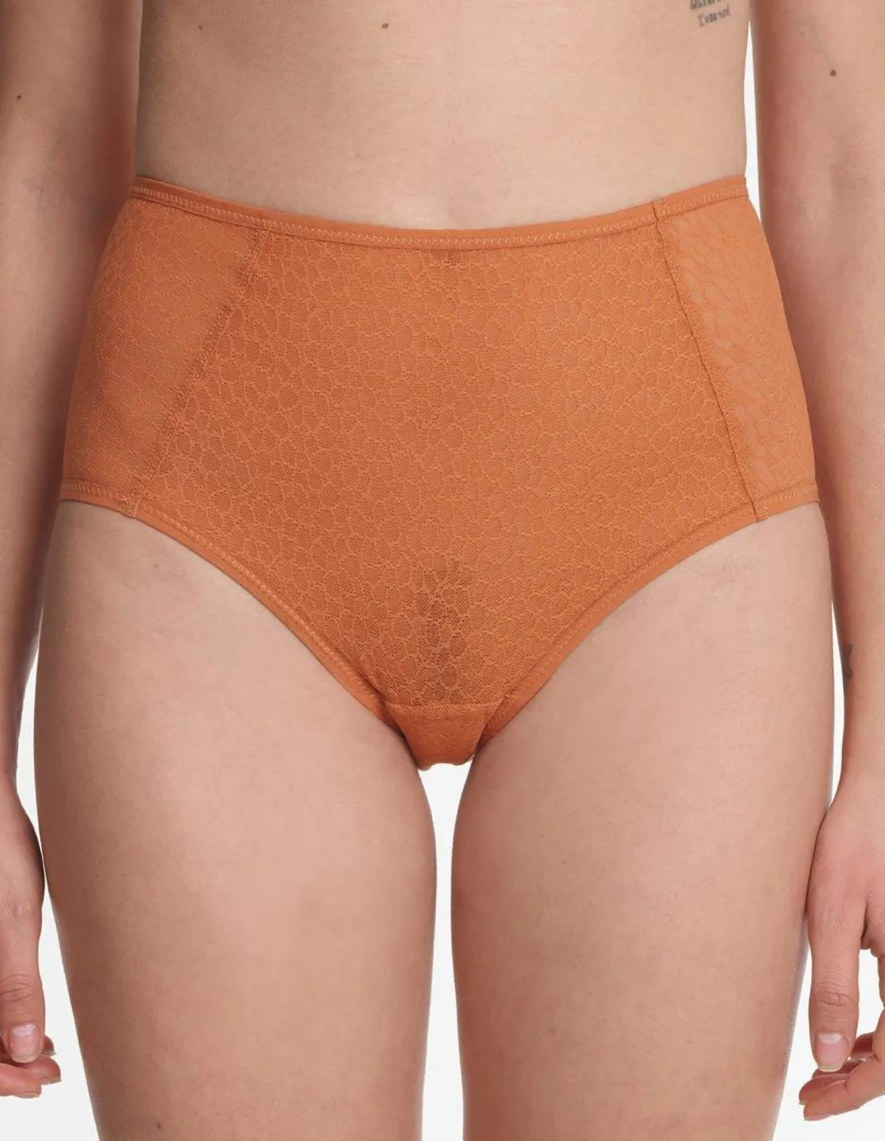 Lily High Panty