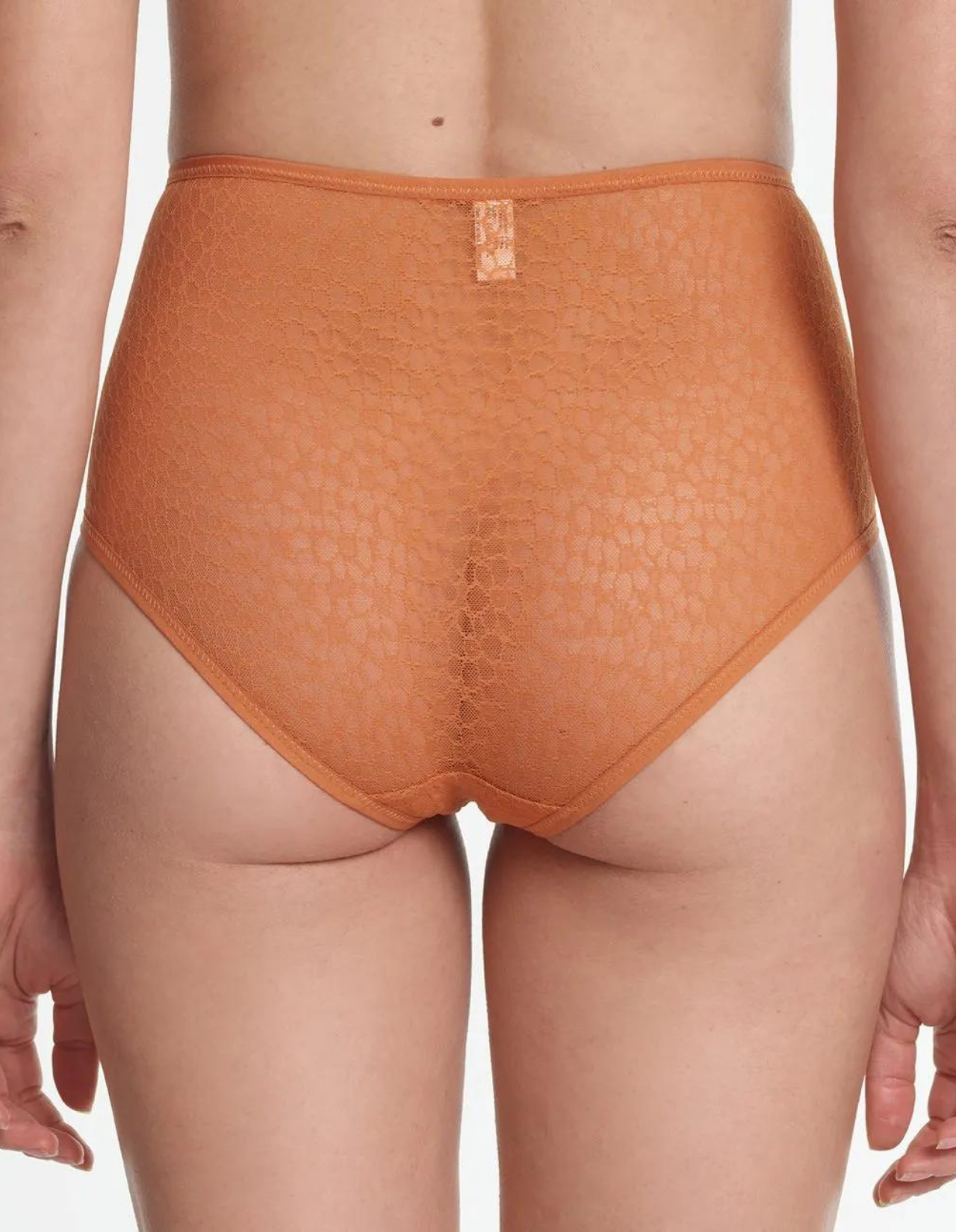 Lily High Panty