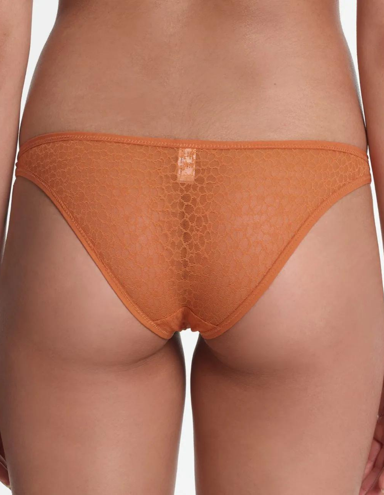 Lily Panty
