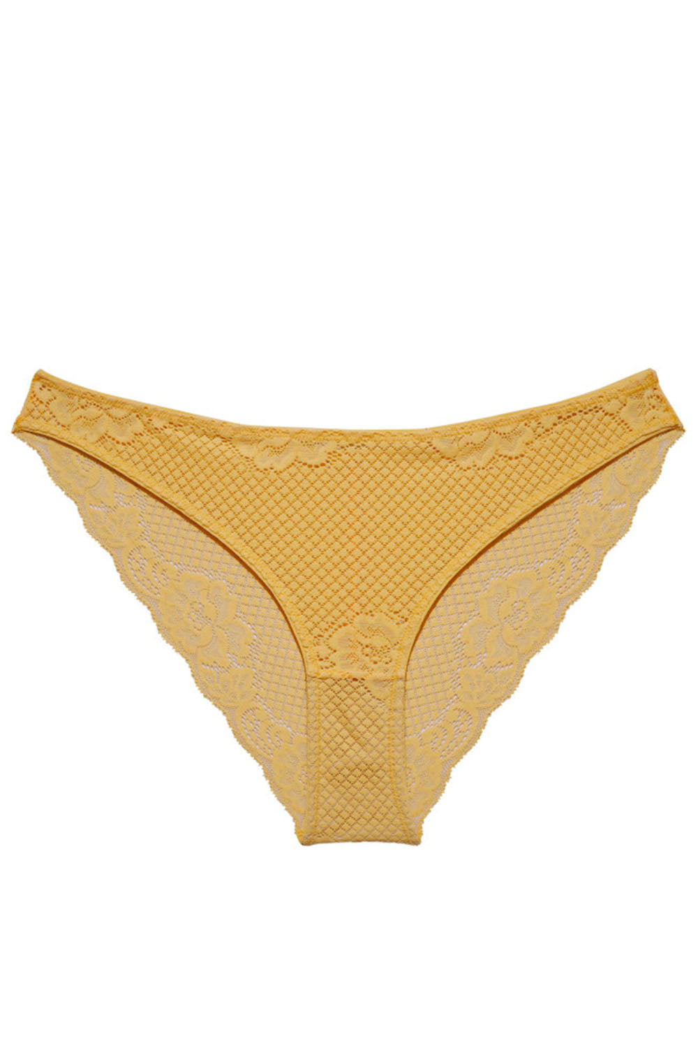 Liza Brief