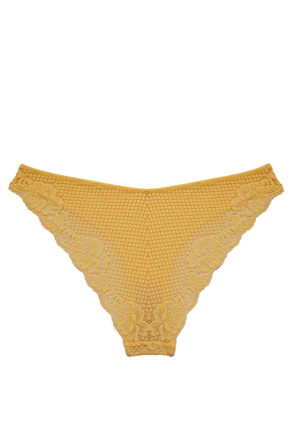 Liza Brief