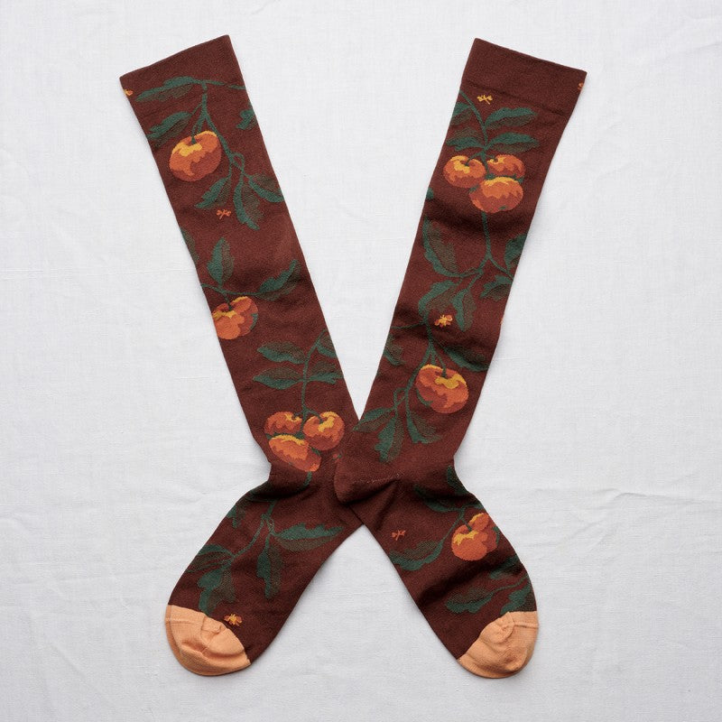 Chestnut Apple Knee High