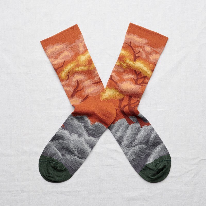 Pumkin Tree Sock