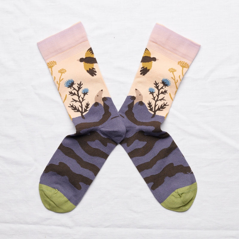 Rosebud Mole Socks