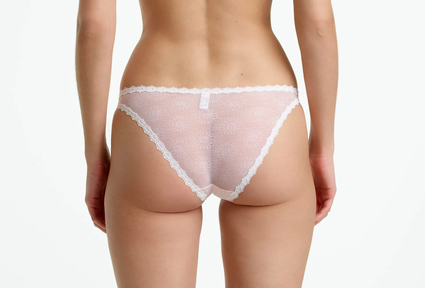 Tamara Panty