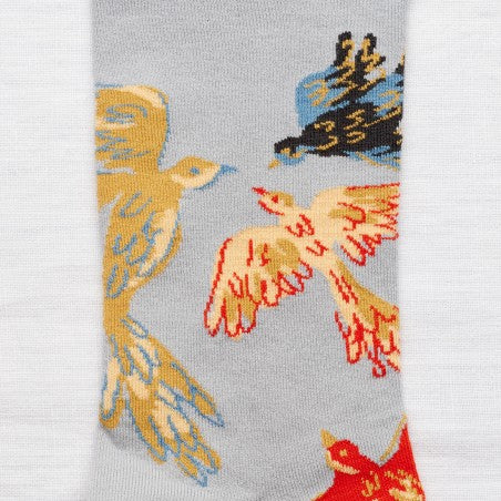 Socks Birds Rain