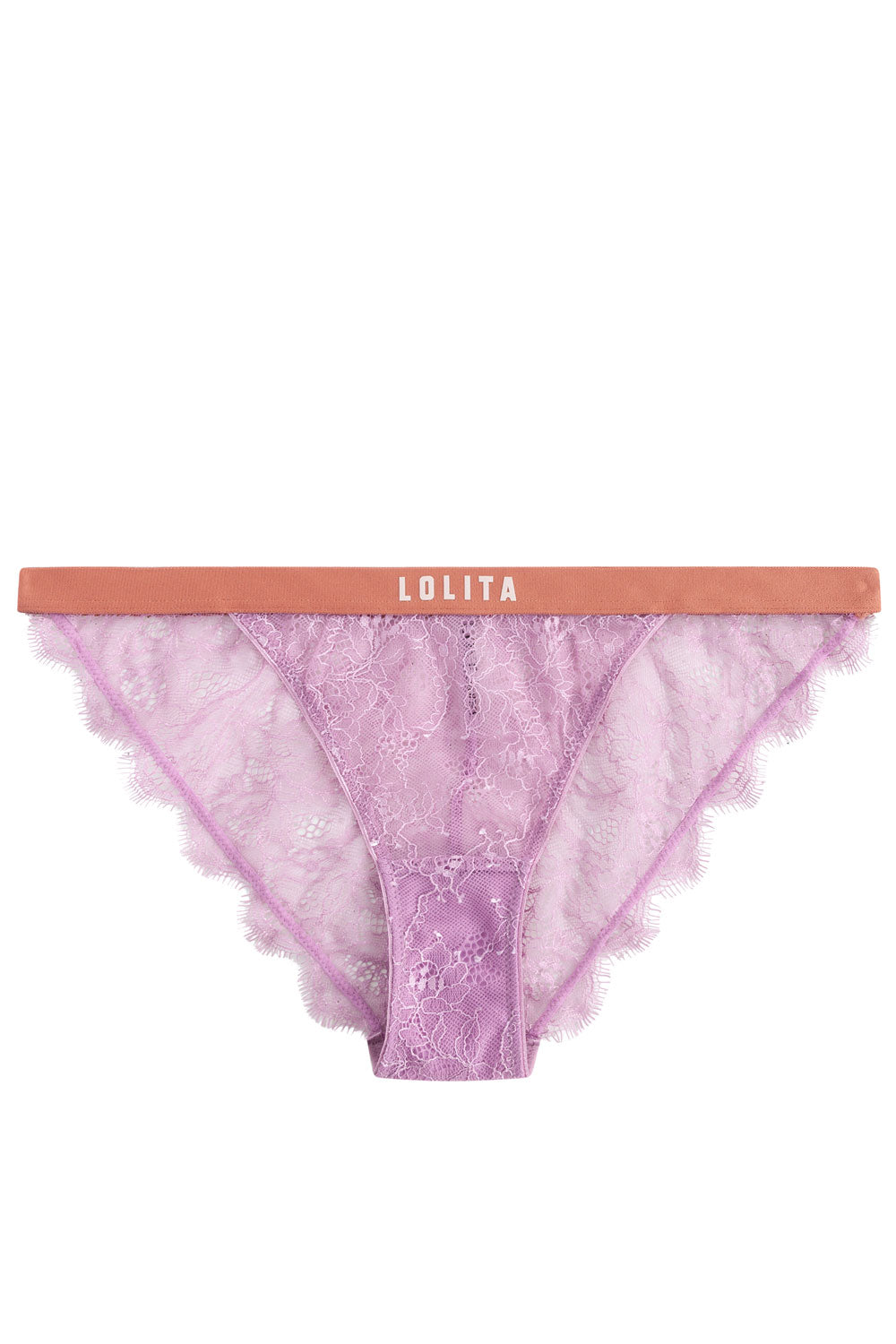 Wild rose brief