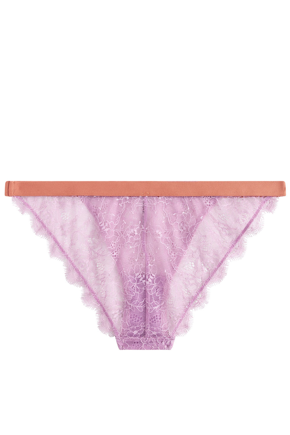 Wild rose brief